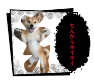 840228882