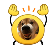 840228884