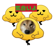 840228885