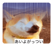 840228886