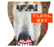 840228887