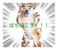 840228888