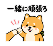 840229029