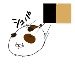 8402299