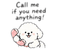 840234003