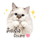 840234587