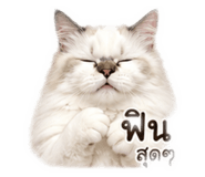 840234592