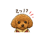 840234650