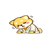 840236801