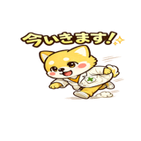 840236802