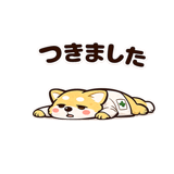 840236817