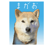 840237160