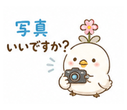 840237245