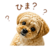 840237576