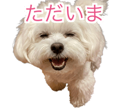 840237720
