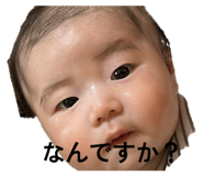 840238010