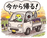 840238063