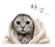 840238268
