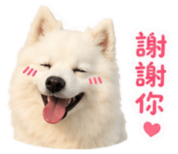 840238349