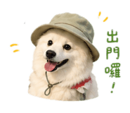 840238353