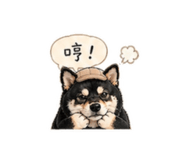 840238382