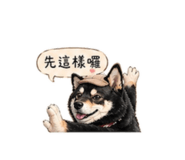 840238383