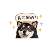 840238384