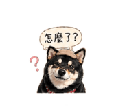 840238388