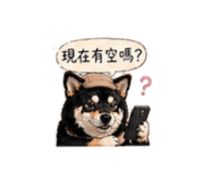 840238393