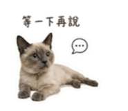 840238483