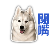 840238560
