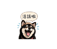 840238698