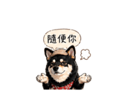840238702