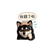 840238717