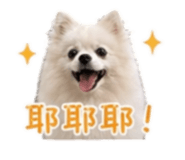 840238926