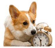 840239083