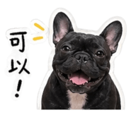 840239584