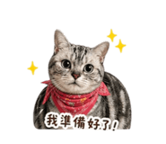 840239805