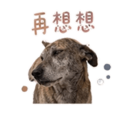 840240360