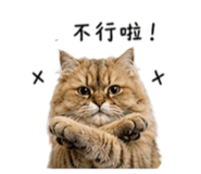 840240381