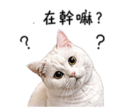 840240387