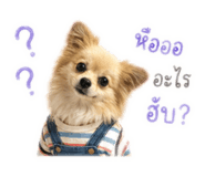 840243752