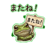 840245542