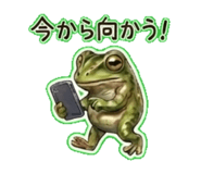 840245544