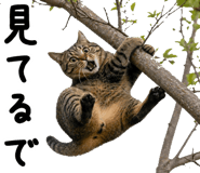 840245565