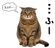 840245569