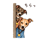 840245760