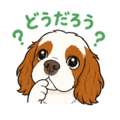 840245924
