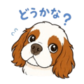 840245928