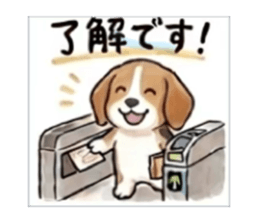 840246243